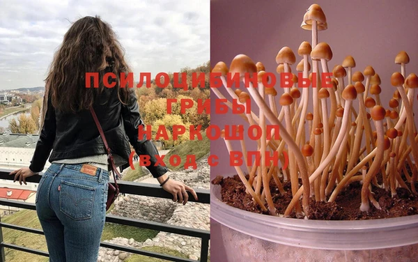 мяу мяу мука Белоозёрский