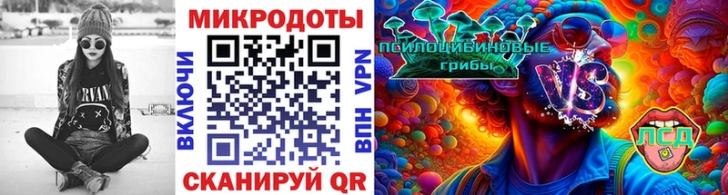 Галлюциногенные грибы ЛСД Бородино
