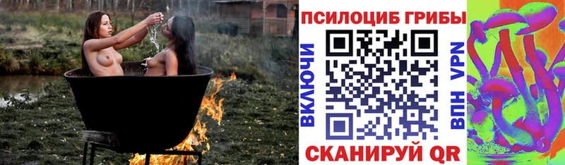Псилоцибиновые грибы MAGIC MUSHROOMS  Бородино 
